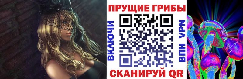 Псилоцибиновые грибы прущие грибы  Купить где  Стародуб 